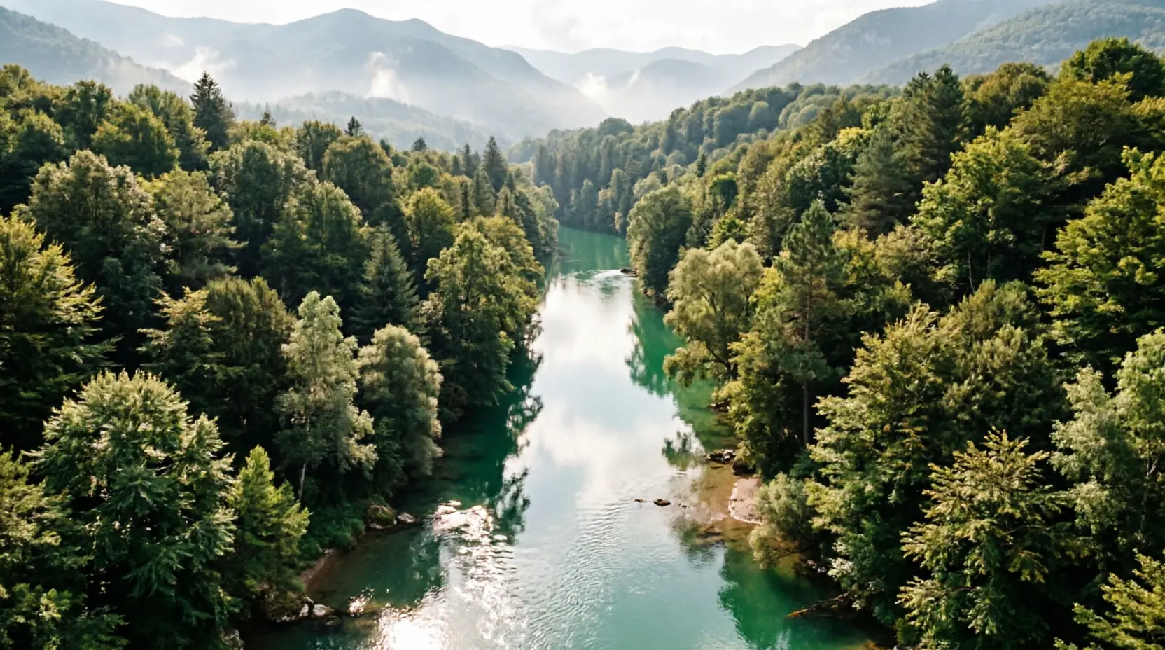Balkan river and forest